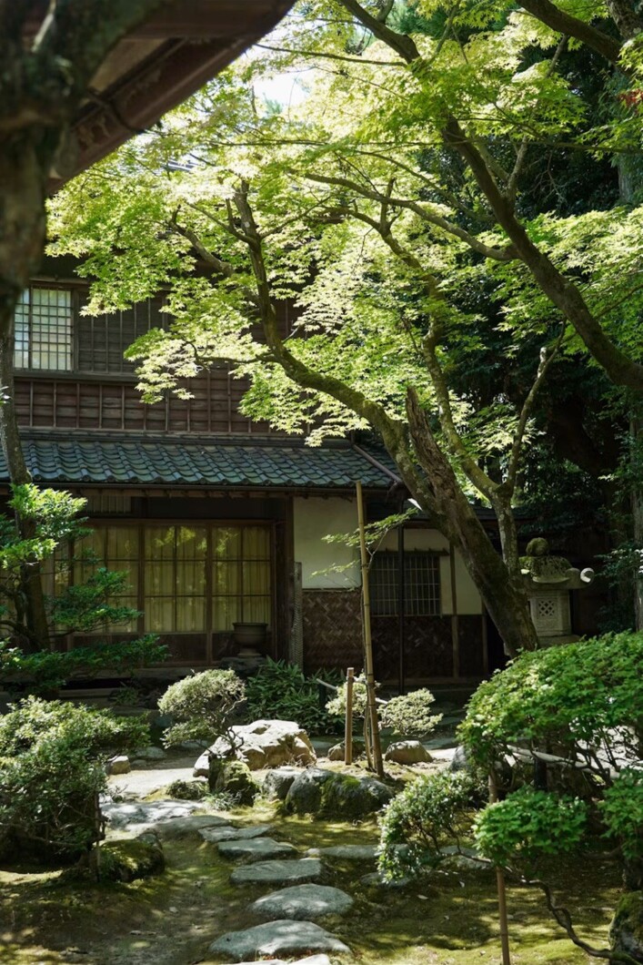 木漏れ日が差す日本庭園と静かな茶寮