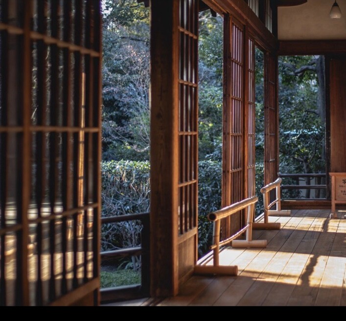 木漏れ日が差し込む古い木の茶室